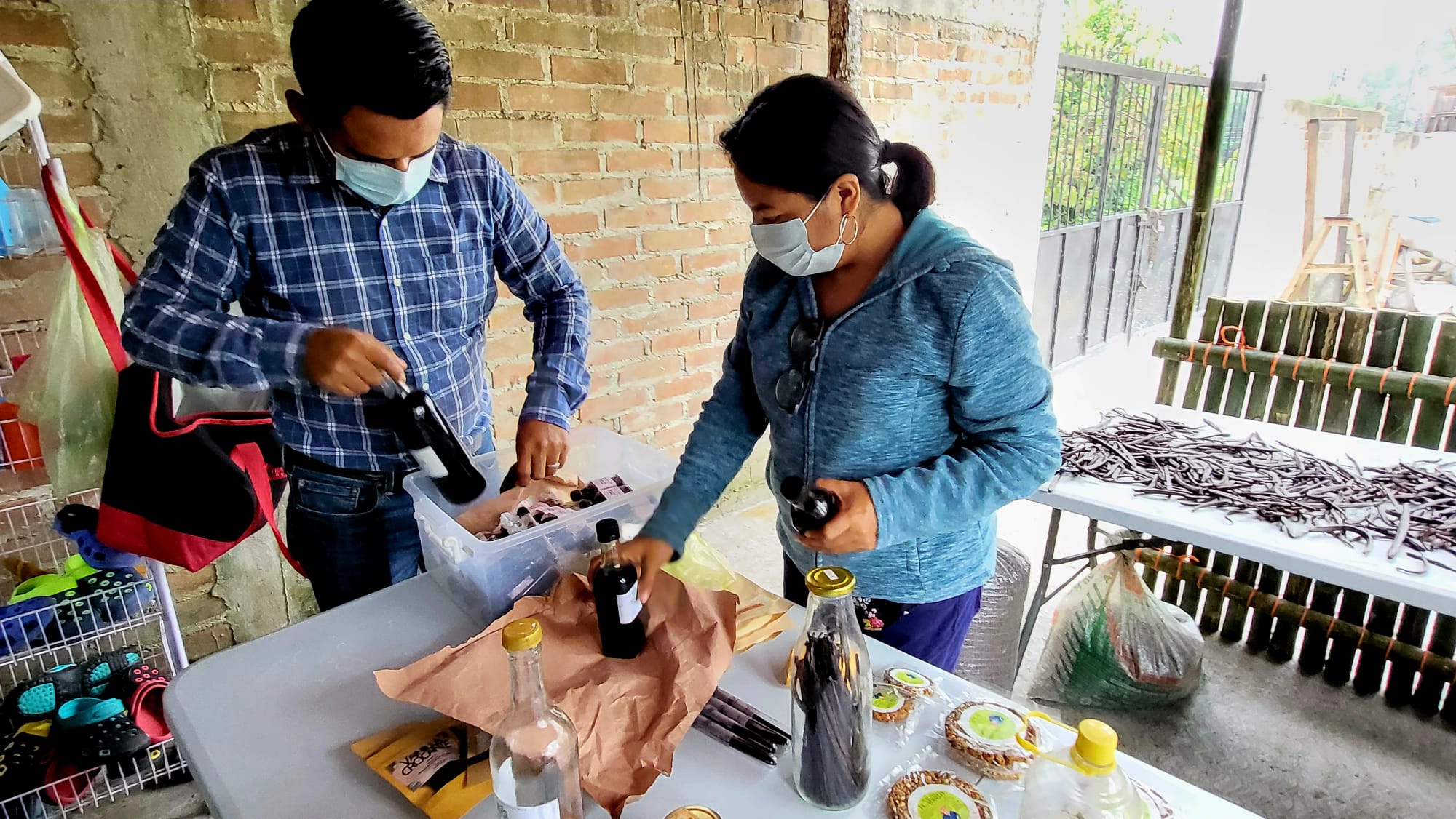 Producteurs de vanille de la coopérative Bio Productores del Llano