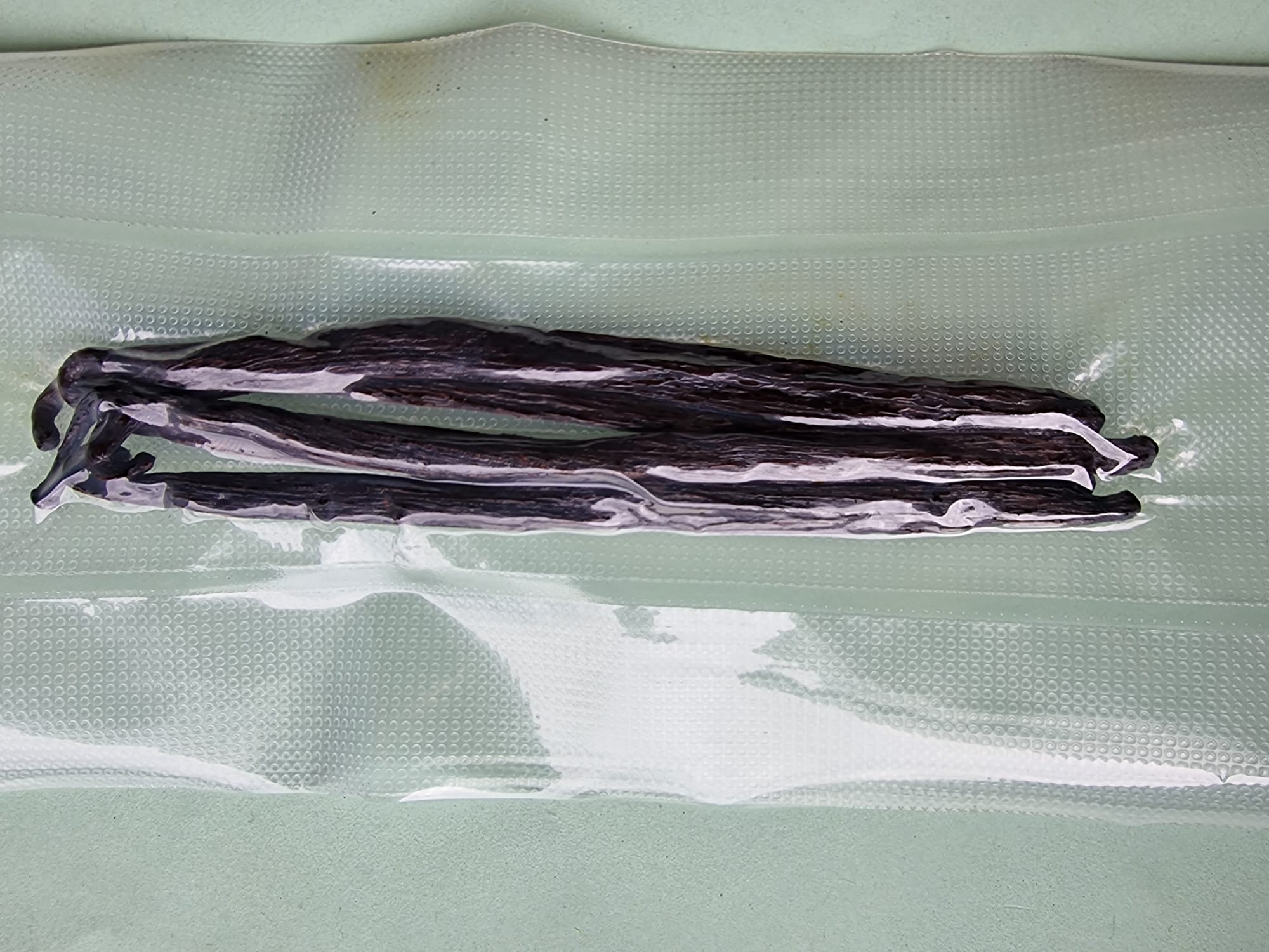 Sachet sous vide de 5 gousses de vanille de Papantla