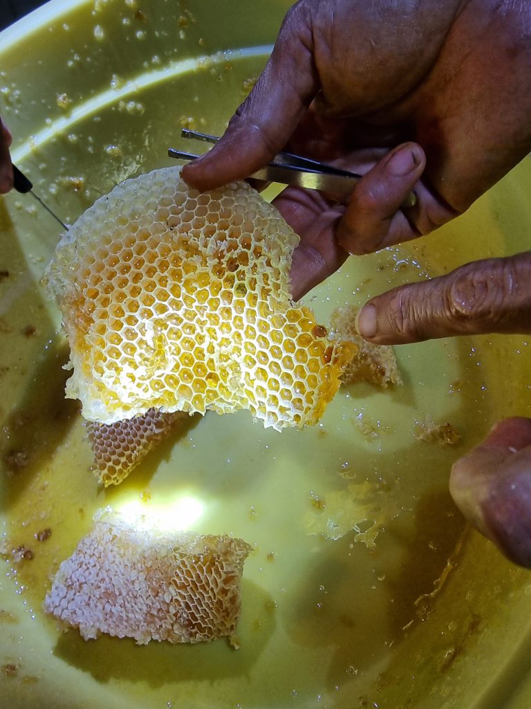 Couleurs jaune et orange du Mexique