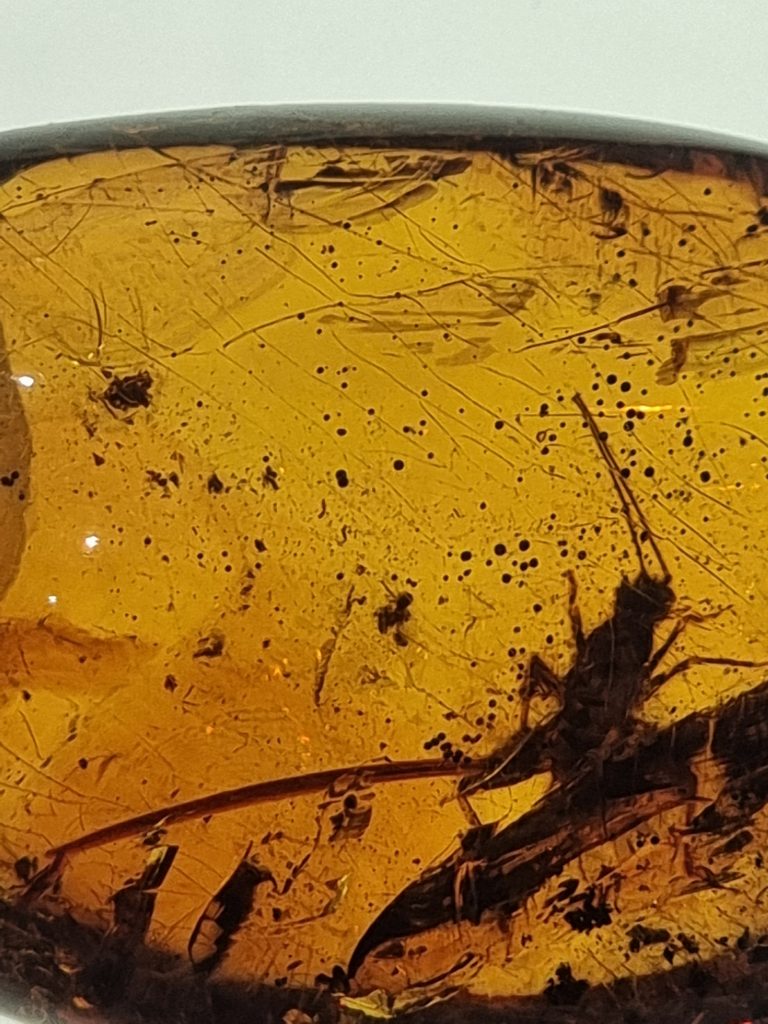 Couleurs jaune et orange du Mexique