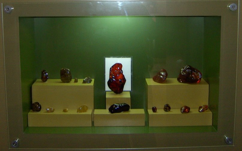 Vitrine du Museo del Ámbar