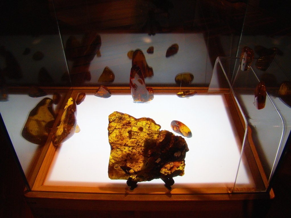 Pièce archéologique au Museo del Ámbar